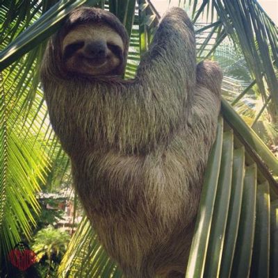 Can You Keep a Sloth as a Pet, and What Happens If It Starts Writing Poetry?