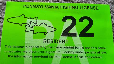 How Much Is a PA Fishing License: A Dive into the Cost and the Curious World of Fishing Permits