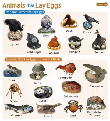 What Animal Lays Eggs but It's Not a Bird? And Why Do They Always Seem to Do It in the Most Inconvenient Places?