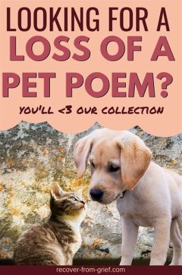 Words for Someone Who Lost a Pet: A Journey Through Grief and Healing